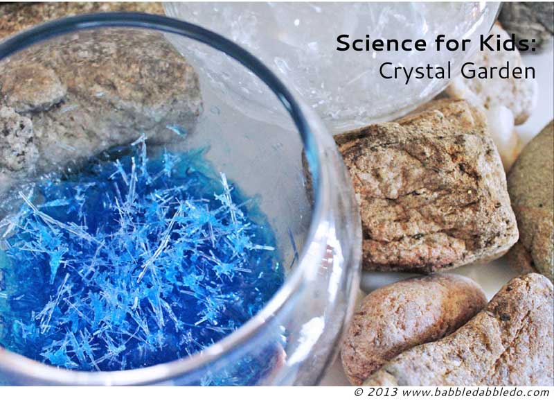 Science for Kids: How to grow crystals....OVERNIGHT!